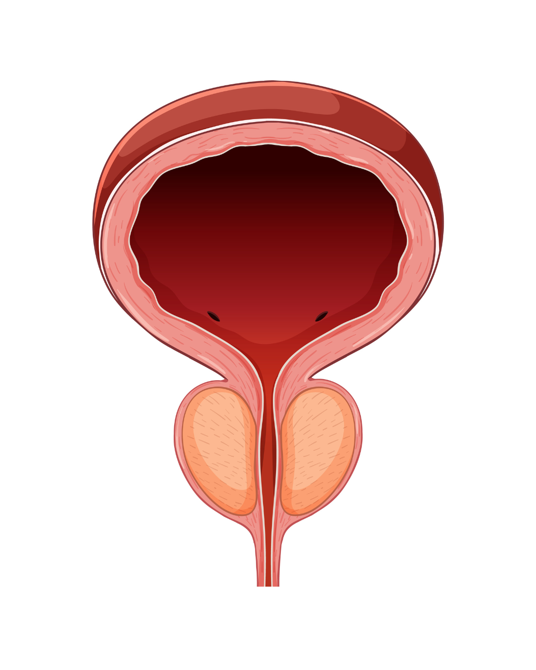 Untitled_design_(5).png