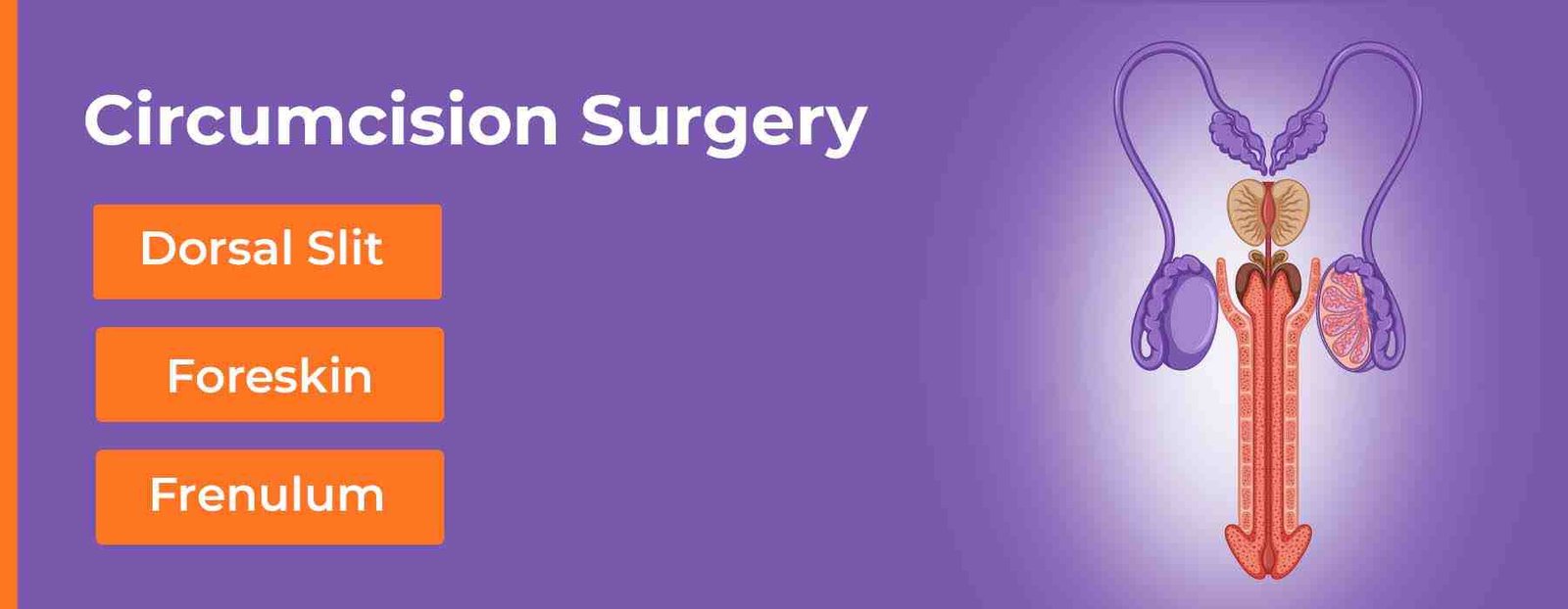 circumcision surgery1