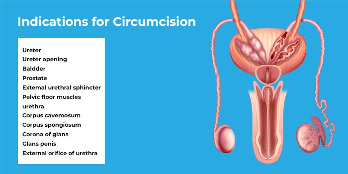 ZSR Stapler Circumcision Surgery in Ahmedabad, Gujarat